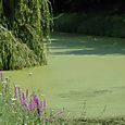 Orleans_180707_47_copie