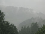 Brouillard Brouillard