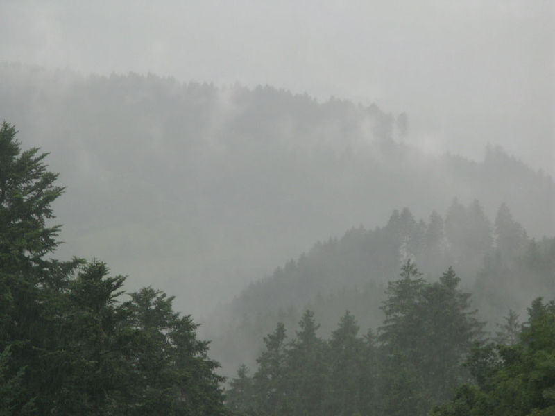 Brouillard