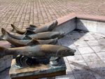 Poissons Freudenstadt Poissons Freudenstadt