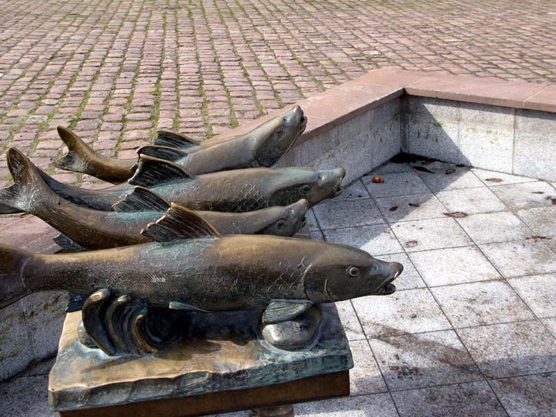 Poissons Freudenstadt