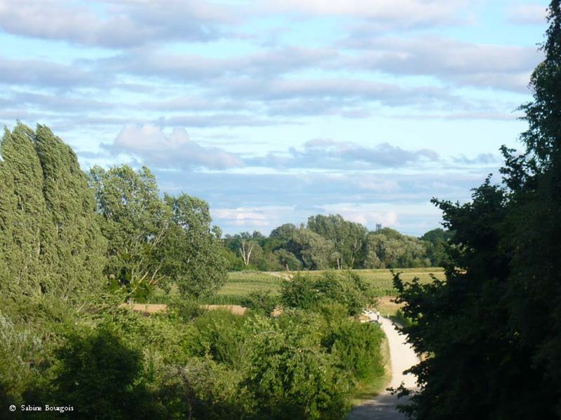 Bourgois sabine, loire