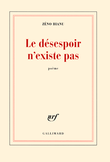 LE DÉSESPOIR N'EXISTE PAS 101110