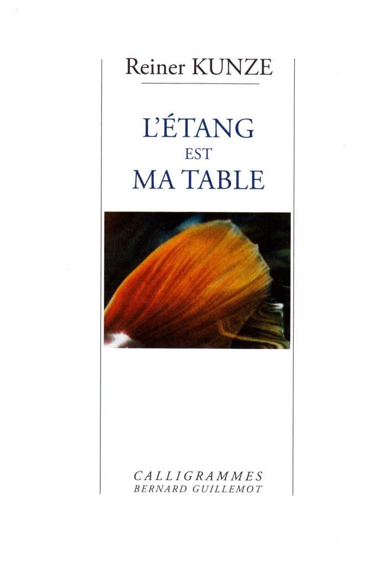 Kunze, l'étang
