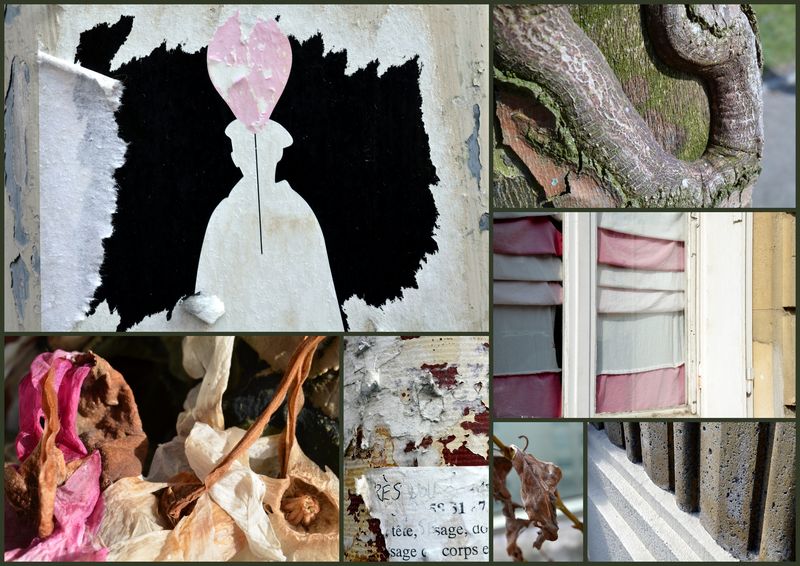 Journal270212