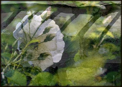 Montage0106