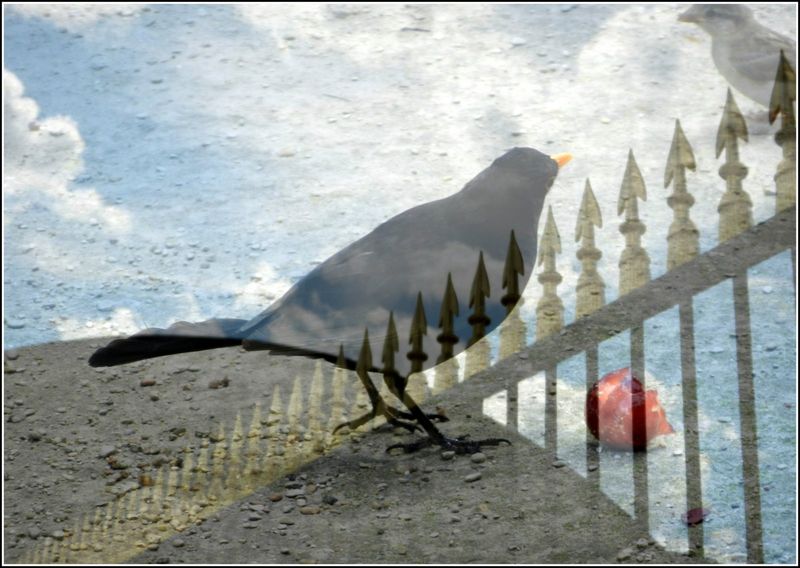 Magritte