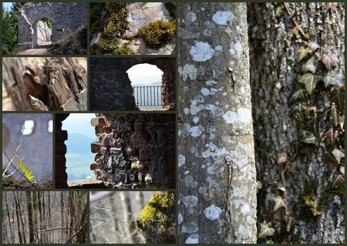 Montage Allemagne 0312-005