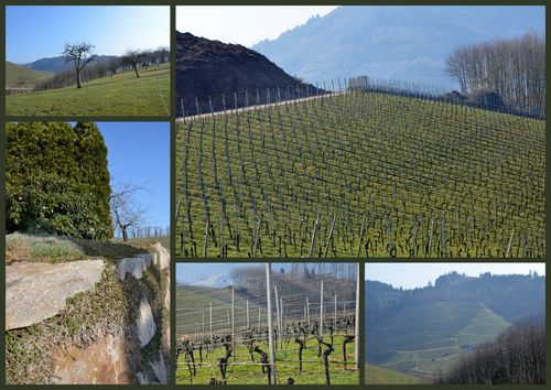 Montage Allemagne 0312-003
