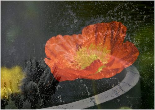 Bord, rouge