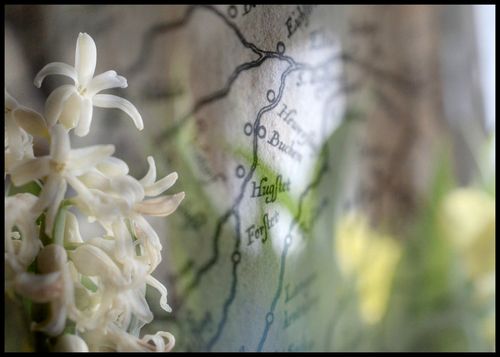 Chemins fragiles