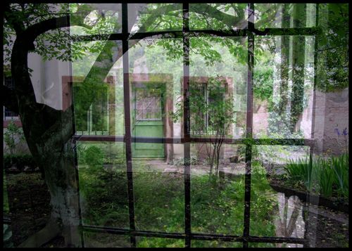 Jardin