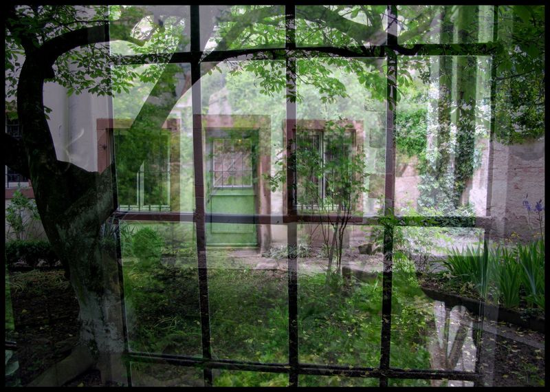 Jardin