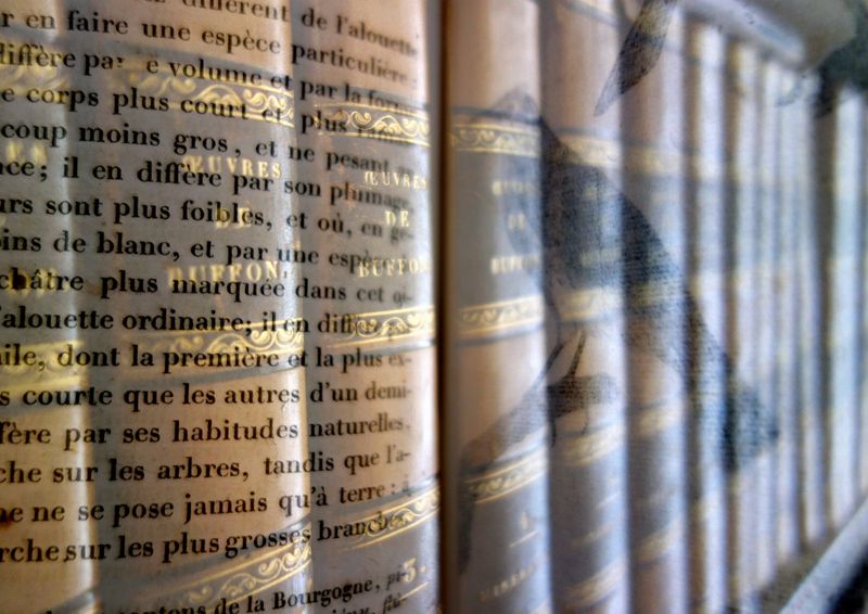 Palimpseste