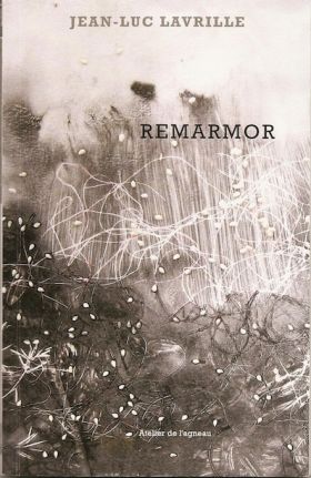 Remarmor-de-jean-luc-lavrille