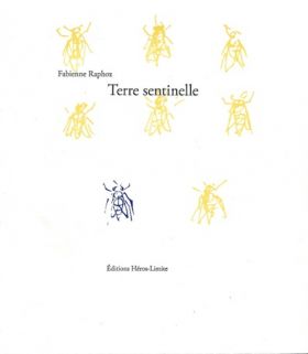 Terre-sentinelle-de-fabienne-raphoz