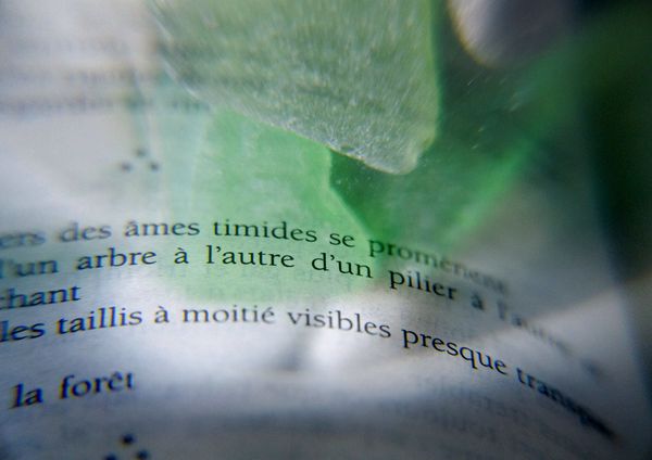 âmes timides