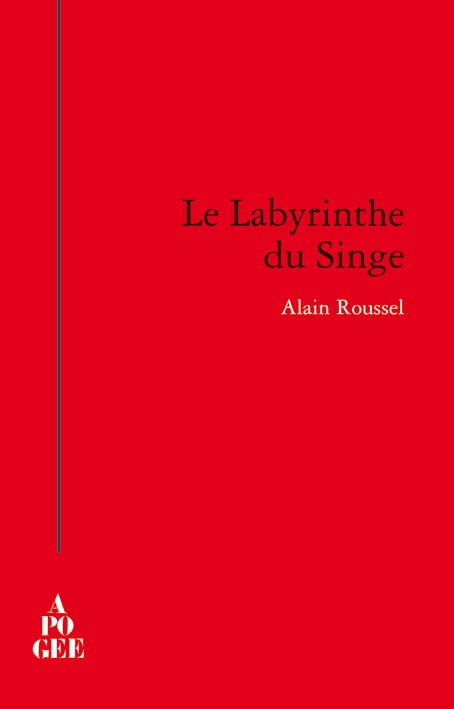 Labyrinthe-singe_couvweb