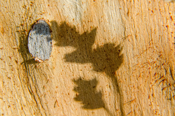 échange longue distance