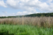 Tecklenburg