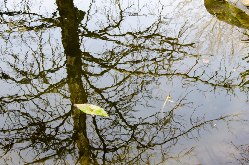 Flotoir 15112017