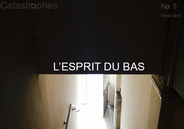 Revue Catastrophes