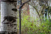 26032018-DSC_8473