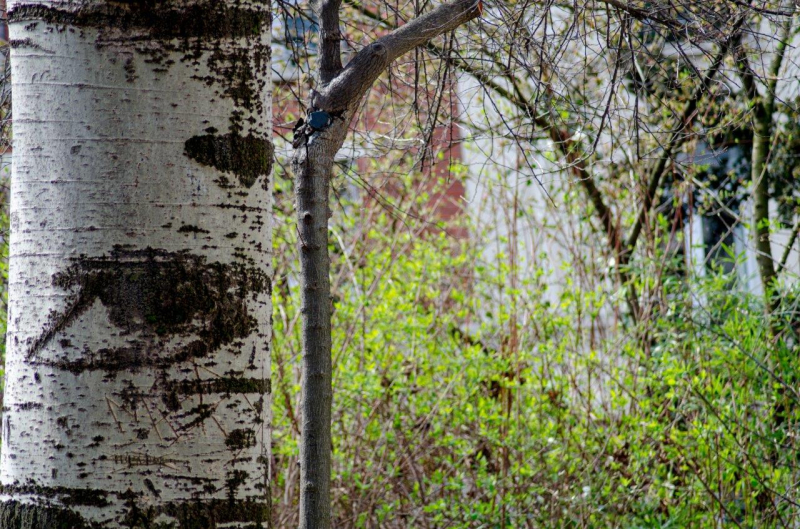 26032018-DSC_8473