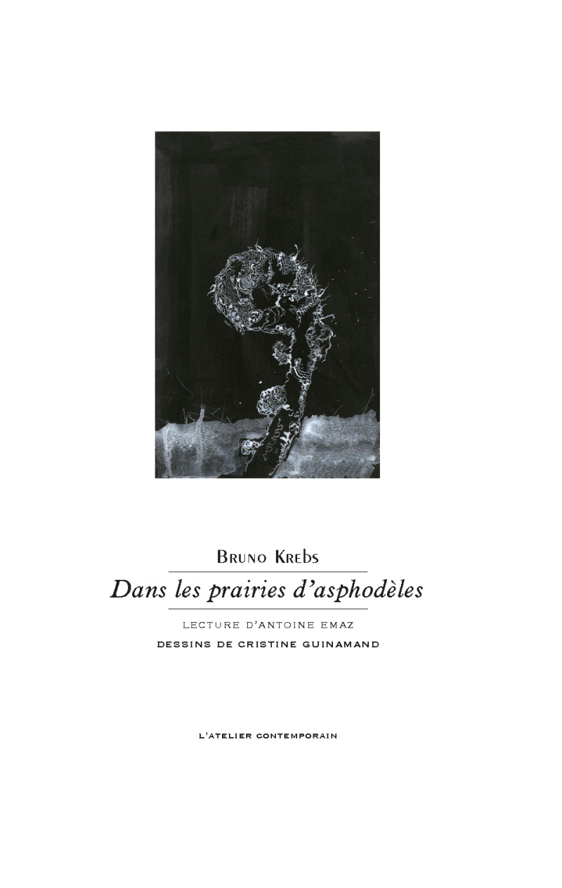 Bruno Krebs  dans les prairies