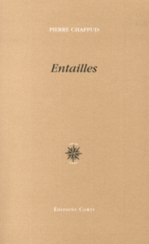 Entailles-pierre-chappuis-9782714311269