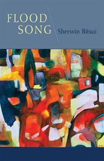 Serwin Bitsui