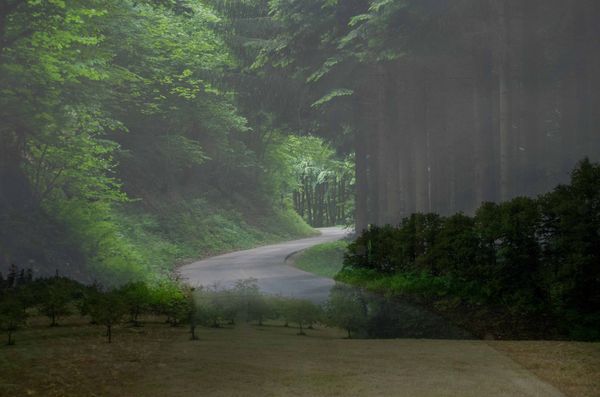 Balade en Forêt noire