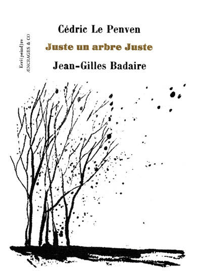 Le Penven  juste un arbre juste