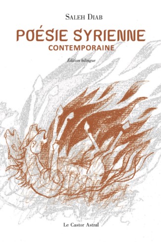 Saleh Diab  poésie syrienne contemporaine