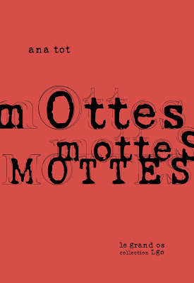 Mottes 1ere Couv coul