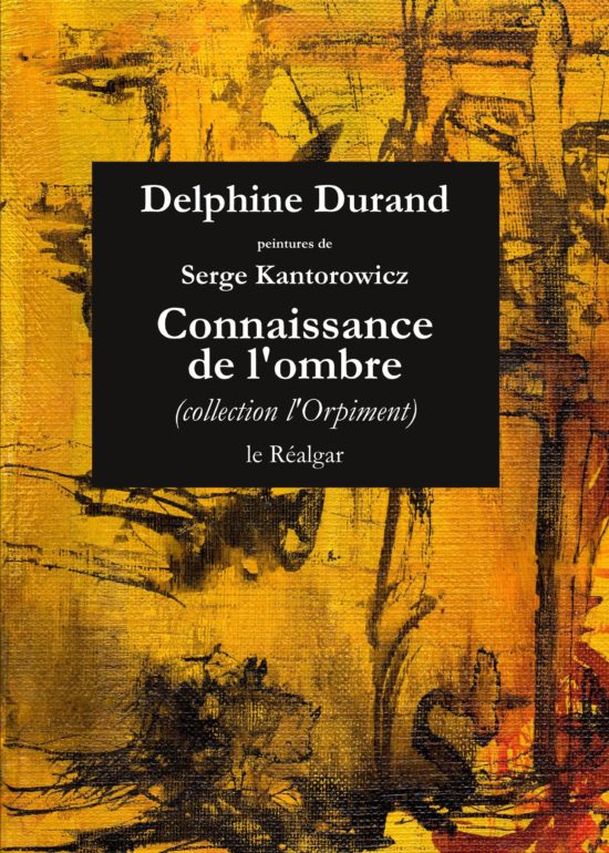 Delphine Durand  connaissance de l'ombre