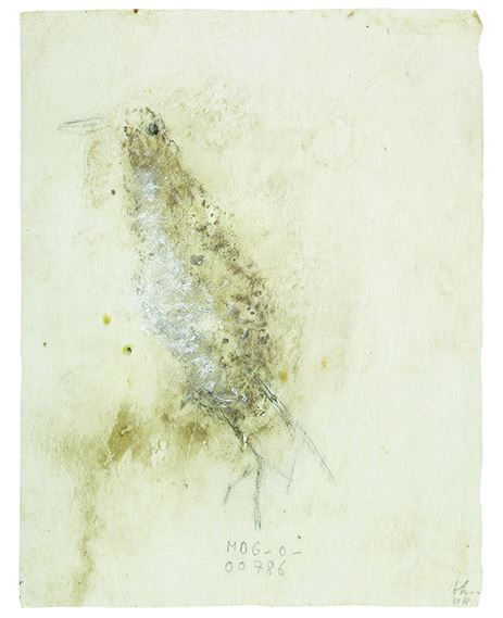 Ferrat