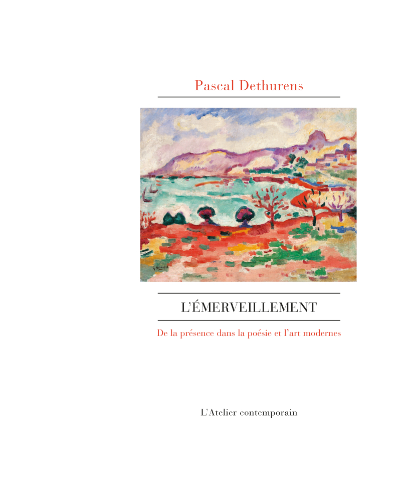 Pascal Dethurens  l'Emerveillement