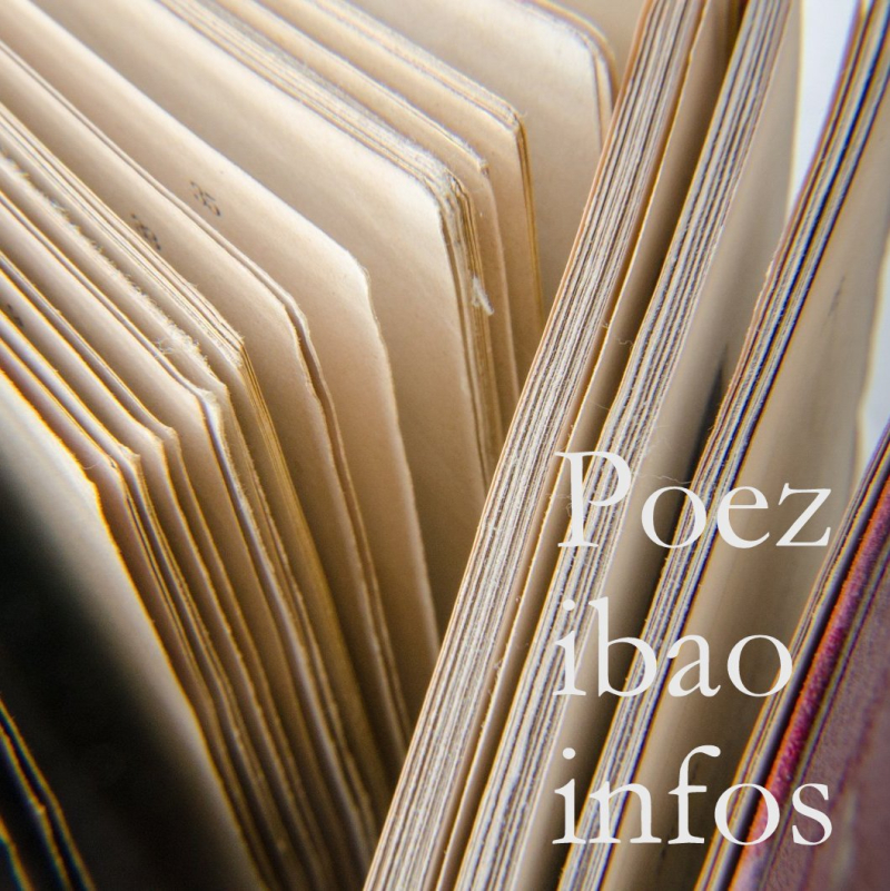 Cul de lampe poezibao info