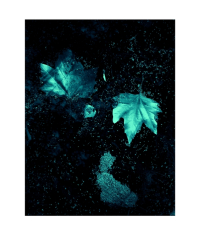 WEB-0355-allirand-50x40cm-marges- (1)