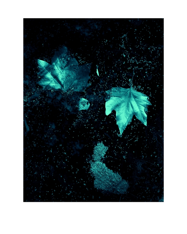 WEB-0355-allirand-50x40cm-marges- (1)