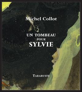 Untombeaupoursylvie_5fe0b3d0a211f021356013
