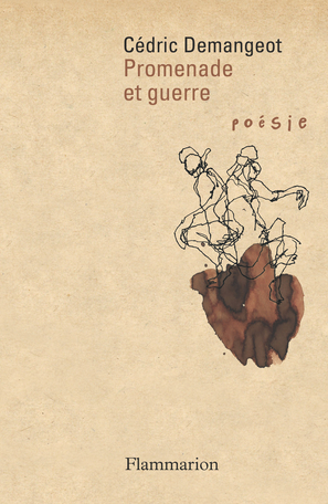 Cédric Demangeot  Promenade et guerre 