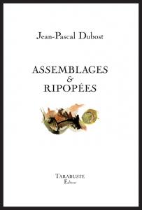 Jean-Pascal Dubost  Assemblages & ripopées 