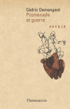 Cédric Demangeot  Promenade et guerre