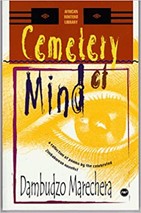 Marechera cimetery of mind