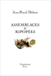 Jean-Pascal Dubost  assemblages et riporées