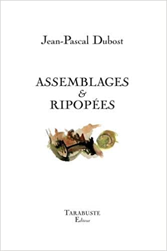 Jean-Pascal Dubost  assemblages et riporées