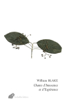 William Blake  chants d'innocence et d'expérience