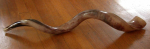 Un shofar du yémen